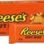 Reesesnutbar 47g x 18
